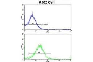 Flow Cytometry (FACS) image for anti-Unc-5 Homolog C (C. Elegans) (Unc5c) antibody (ABIN3002880) (Unc5c 抗体)