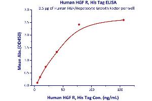 Immobilized Human HGF/Hepatocyte Growth Factor at 5μg/mL (100 μL/well) can bind Human HGF R, His Tag  with a linear range of 5-78 ng/mL. (c-MET Protein (AA 25-932) (His tag))
