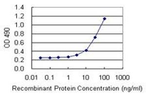 Sandwich ELISA detection sensitivity ranging from 3 ng/mL to 100 ng/mL. (HDAC3 (人) Matched Antibody Pair)