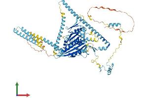 Protein Structure (PS) image for Kinesin Family Member 3B (KIF3B) (AA 1-747) protein (His tag) (ABIN7557736)