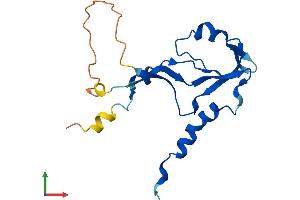 Protein Structure (PS) image for Ribonuclease H2, Subunit C (RNASEH2C) (AA 1-166) protein (His tag) (ABIN7560499)
