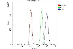 Flow Cytometry analysis of U20S cells using anti-IL7R alpha antibody (ABIN4886632). (IL7R 抗体  (C-Term))