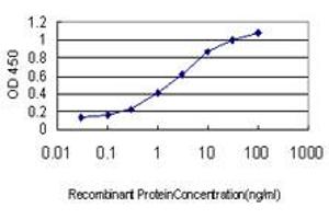 Detection limit for recombinant GST tagged LRP8 is approximately 0. (LRP8 抗体  (AA 83-170))