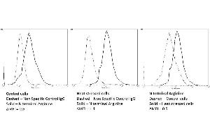 Flow Cytometry analysis using Mouse Anti-N-terminal Arginylation Monoclonal Antibody, Clone 4A9 (ABIN5066966). (Arginylation (N-Term) 抗体 (Atto 390))