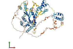 Protein Structure (PS) image for Pogo Transposable Element with KRAB Domain (POGK) (AA 1-607) protein (His tag) (ABIN7558318)