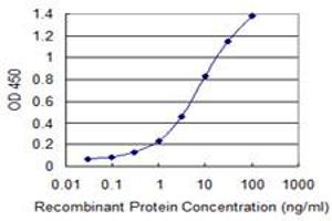 Detection limit for recombinant GST tagged NEK11 is 0. (NEK11 抗体  (AA 1-482))