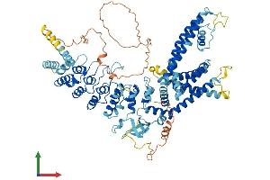 Protein Structure (PS) image for Transient Receptor Potential Cation Channel, Subfamily V, Member 3 (TRPV3) (AA 1-791) protein (His tag) (ABIN7564664)