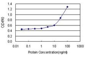 Sandwich ELISA detection sensitivity ranging from 10 ng/mL to 100 ng/mL. (ICAM1 (人) Matched Antibody Pair)
