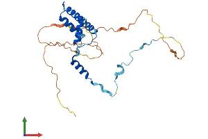 Protein Structure (PS) image for TAF9B RNA Polymerase II, TATA Box Binding Protein (TBP)-Associated Factor, 31kDa (TAF9B) (AA 1-249) protein (His tag) (ABIN7557972)
