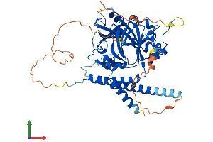 AlphaFold protein structure predicition of Mouse Recombinant Hspbap1 Protein, UniprotID Q8BK58
