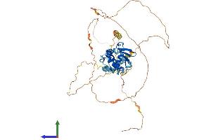 Protein Structure (PS) image for Ets Variant 6 (ETV6) (AA 1-485) protein (His tag) (ABIN7556791)