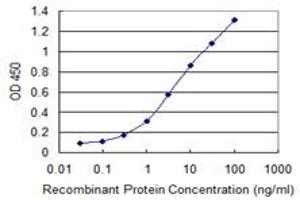Detection limit for recombinant GST tagged MAP3K7 is 0. (MAP3K7 抗体  (AA 471-579))