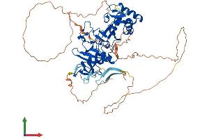 AlphaFold protein structure predicition of Mouse Recombinant Phf1 Protein, UniprotID Q9Z1B8