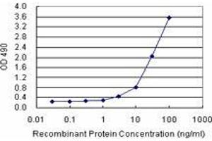 Sandwich ELISA detection sensitivity ranging from 1 ng/mL to 100 ng/mL. (PPP2R3B (人) Matched Antibody Pair)