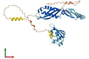 Protein Structure (PS) image for Stomatin (EPB72)-Like 1 (STOML1) (AA 1-398) protein (His tag) (ABIN7546372)