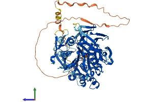 Protein Structure (PS) image for Prolyl Endopeptidase Like Protein (PREPL) (AA 1-727) protein (His tag) (ABIN7550972)