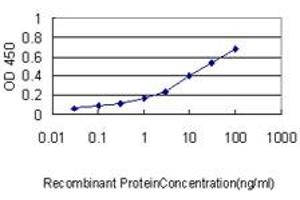 Detection limit for recombinant GST tagged HNRPA2B1 is approximately 0. (HNRNPA2B1 抗体  (AA 1-249))