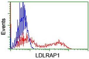 HEK293T cells transfected with either RC206643 overexpress plasmid (Red) or empty vector control plasmid (Blue) were immunostained by anti-LDLRAP1 antibody (ABIN2455229), and then analyzed by flow cytometry. (LDLRAP1 抗体)