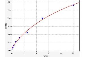 Typical standard curve (Defensin beta 3 ELISA 试剂盒)