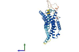 Protein Structure (PS) image for Cannabinoid Receptor 2 (CNR2) (AA 1-360) protein (His tag) (ABIN7546645)