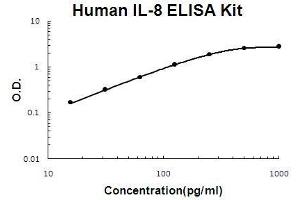 Human IL-8 PicoKine ELISA Kit standard curve (IL-8 ELISA 试剂盒)