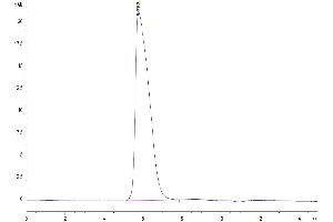 Size-exclusion chromatography-High Pressure Liquid Chromatography (SEC-HPLC) image for Glycoprotein IX (Platelet) (GP9) (AA 17-147) protein (Fc Tag) (ABIN7274762)