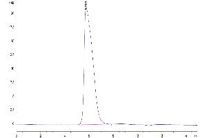 The purity of Human CD42a/GP9 is greater than 95 % as determined by SEC-HPLC. (CD42a Protein (AA 17-147) (Fc Tag))