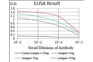 Black line: Control Antigen (100 ng), Purple line: Antigen(10 ng), Blue line: Antigen (50 ng), Red line: Antigen (100 ng), (Nibrin 抗体  (AA 467-615))