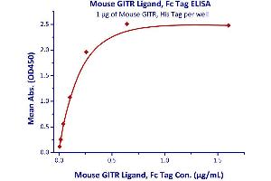 Binding Studies (Bind) image for Tumor Necrosis Factor (Ligand) Superfamily, Member 18 (TNFSF18) (AA 47-173) (Active) protein (Fc Tag) (ABIN4949171)