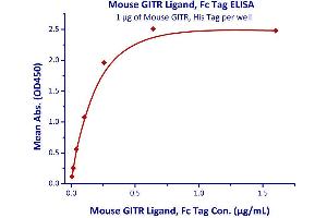 Immobilized Mouse GITR, His Tag  with a linear range of 0. (TNFSF18 Protein (AA 47-173) (Fc Tag))