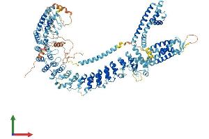 Protein Structure (PS) image for Transient Receptor Potential Cation Channel, Subfamily A, Member 1 (TRPA1) (AA 1-1125) protein (His tag) (ABIN7564386)