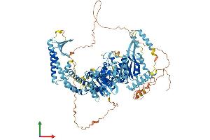 AlphaFold protein structure predicition of Mouse Recombinant Msh4 Protein, UniprotID Q99MT2