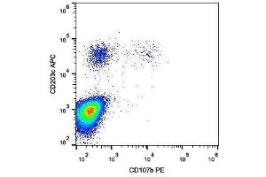 Surface staining of IgE-stimulated human peripheral blood with anti-CD107b (H4B4) PE. (LAMP2 抗体  (PE))