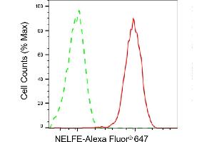 Flow cytometric analysis of NELFE expression in HepG2 cells using NELFE antibody (ABIN7800147), 1:2,000).