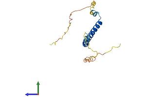 Protein Structure (PS) image for Nucleosome Assembly Protein 1-Like 5 (NAP1L5) (AA 1-156) protein (His tag) (ABIN7561585)
