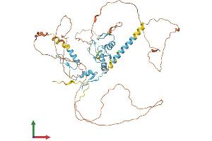 Protein Structure (PS) image for GLIS Family Zinc Finger 2 (GLIS2) (AA 1-521) protein (His tag) (ABIN7564745)
