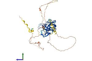 Protein Structure (PS) image for T-Box 20 (TBX20) (AA 1-445) protein (His tag) (ABIN7561453)