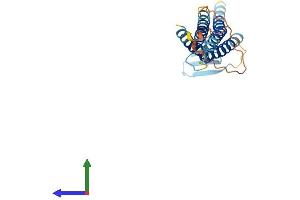 Protein Structure (PS) image for Claudin 16 (CLDN16) (AA 1-235) protein (His tag) (ABIN7560286)