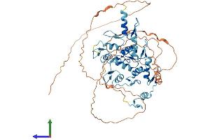 Protein Structure (PS) image for Zinc Finger Protein 768 (ZNF768) (AA 1-540) protein (His tag) (ABIN7545691)