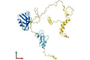Protein Structure (PS) image for PDZ and LIM Domain 3 (PDLIM3) (AA 1-316) protein (His tag) (ABIN7562518)