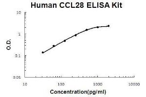 Human CCL28 PicoKine ELISA Kit standard curve (CCL28 ELISA 试剂盒)