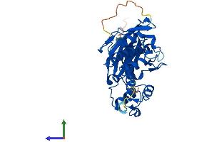 AlphaFold protein structure predicition of Human Recombinant AASDHPPT Protein, UniprotID Q9NRN7 (AASDHPPT Protein (AA 1-309) (His tag))