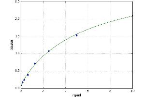 Undercarboxylated Osteocalcin (UCOC) ELISA Kit