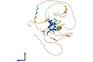 Protein Structure (PS) image for Forkhead Box D1 (FOXD1) (AA 1-456) protein (His tag) (ABIN7557697)