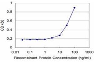 Detection limit for recombinant GST tagged ARX is approximately 1ng/ml as a capture antibody. (Arx 抗体  (AA 1-95))