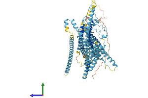 AlphaFold protein structure predicition of Mouse Recombinant Tmc1 Protein, UniprotID Q8R4P5