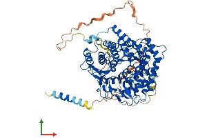AlphaFold protein structure predicition of Mouse Recombinant Edem1 Protein, UniprotID Q925U4