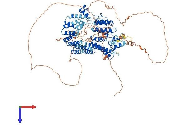 TTC15 Protein (AA 1-797) (His tag)