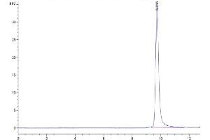Size-exclusion chromatography-High Pressure Liquid Chromatography (SEC-HPLC) image for Protein Tyrosine Phosphatase Type IVA, Member 1 (PTP4A1) (AA 1-170) protein (His tag) (ABIN7275477)