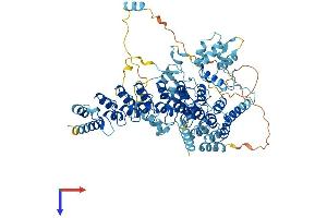 AlphaFold protein structure predicition of Human Recombinant ANKEF1 Protein, UniprotID Q9NU02